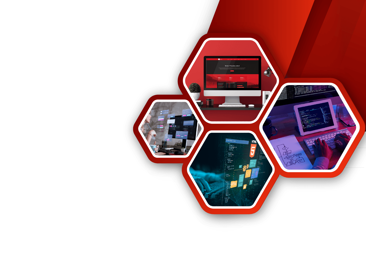 Web Design illustration